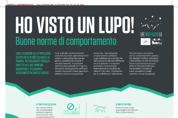 Ho visto un lupo! Buone norme di comportamento
